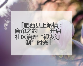 肥西县上派镇：窗帘之约——开启社区治理“银发订制”时光