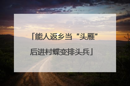 能人返乡当“头雁” 后进村蝶变排头兵