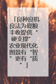 良种良机良法为夏粮丰收提供“硬支撑” 农业现代化图景有“智”更有“质”