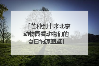 芒种到丨来北京动物园看动物们的夏日纳凉图鉴