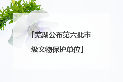 芜湖公布第六批市级文物保护单位