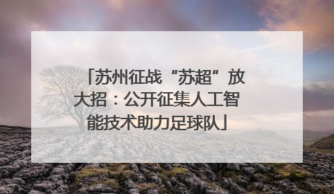 苏州征战“苏超”放大招：公开征集人工智能技术助力足球队
