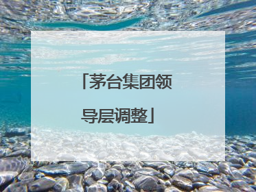 茅台集团领导层调整