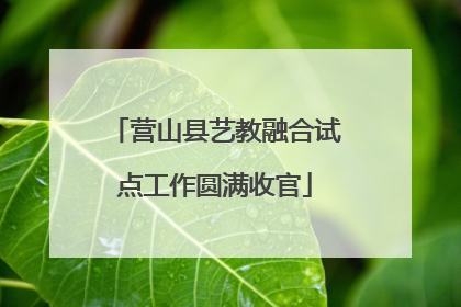 营山县艺教融合试点工作圆满收官