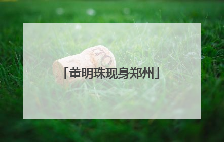 董明珠现身郑州