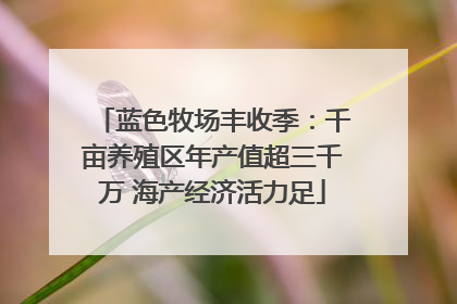 蓝色牧场丰收季：千亩养殖区年产值超三千万 海产经济活力足