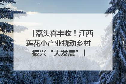 藠头喜丰收！江西莲花小产业撬动乡村振兴“大发展”