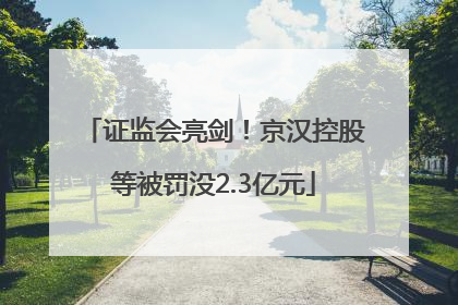 证监会亮剑！京汉控股等被罚没2.3亿元