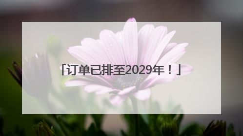 订单已排至2029年！