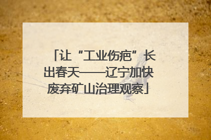 让“工业伤疤”长出春天——辽宁加快废弃矿山治理观察