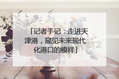 记者手记：走进天津港，窥见未来现代化港口的模样