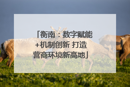 衡南：数字赋能+机制创新 打造营商环境新高地