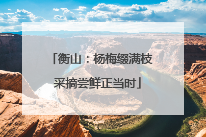 衡山：杨梅缀满枝 采摘尝鲜正当时