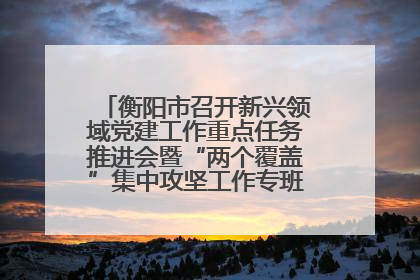 衡阳市召开新兴领域党建工作重点任务推进会暨“两个覆盖”集中攻坚工作专班 第一次会议