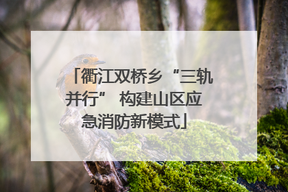 衢江双桥乡“三轨并行” 构建山区应急消防新模式