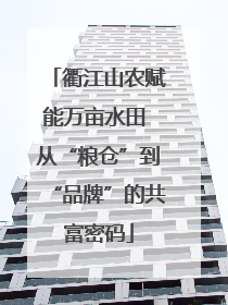 衢江山农赋能万亩水田 从“粮仓”到“品牌”的共富密码