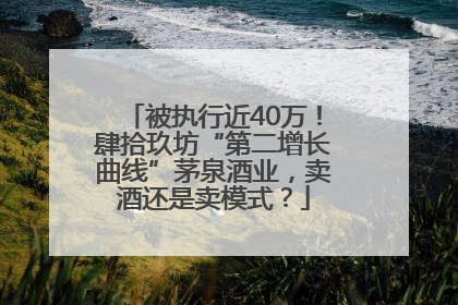 被执行近40万！肆拾玖坊“第二增长曲线”茅泉酒业，卖酒还是卖模式？