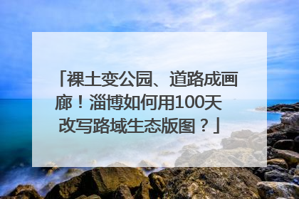 裸土变公园、道路成画廊！淄博如何用100天改写路域生态版图？