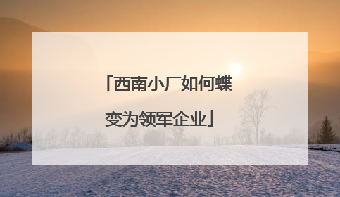 西南小厂如何蝶变为领军企业