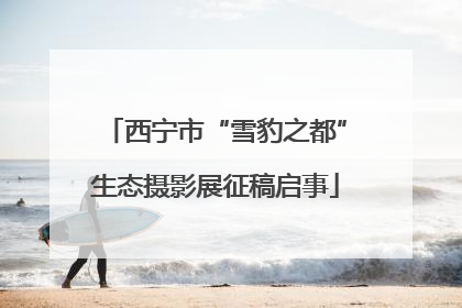 西宁市“雪豹之都”生态摄影展征稿启事
