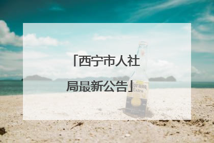 西宁市人社局最新公告