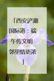 西安浐灞国际港：端午传文明 邻里情更浓