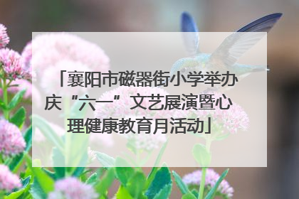 襄阳市磁器街小学举办庆“六一”文艺展演暨心理健康教育月活动