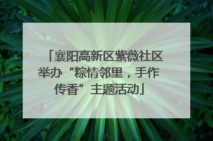 襄阳高新区紫薇社区举办“粽情邻里，手作传香”主题活动
