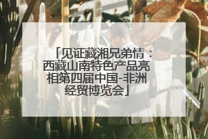 见证藏湘兄弟情：西藏山南特色产品亮相第四届中国-非洲经贸博览会