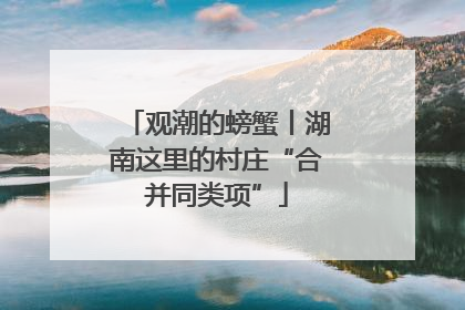 观潮的螃蟹丨湖南这里的村庄“合并同类项”