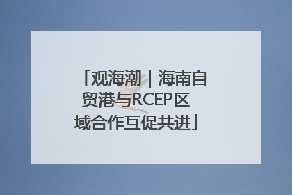 观海潮｜海南自贸港与RCEP区域合作互促共进