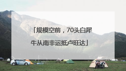 规模空前，70头白犀牛从南非运抵卢旺达