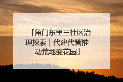 角门东里三社区治理探索｜代建代管推动荒地变花园
