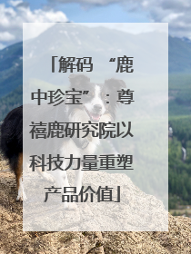 解码 “鹿中珍宝”：尊禧鹿研究院以科技力量重塑产品价值