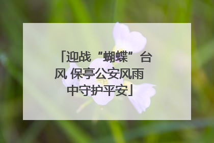 迎战“蝴蝶”台风 保亭公安风雨中守护平安