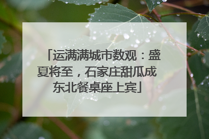 运满满城市数观：盛夏将至，石家庄甜瓜成东北餐桌座上宾
