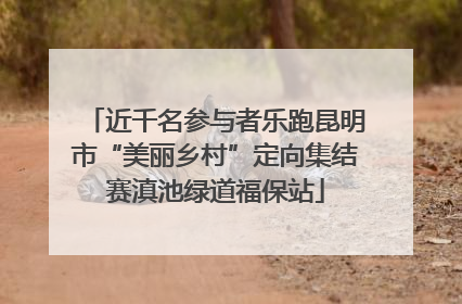 近千名参与者乐跑昆明市“美丽乡村”定向集结赛滇池绿道福保站