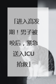 进入高发期！男子被咬后，紧急送入ICU抢救