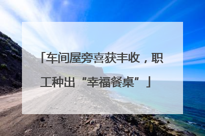 车间屋旁喜获丰收，职工种出“幸福餐桌”