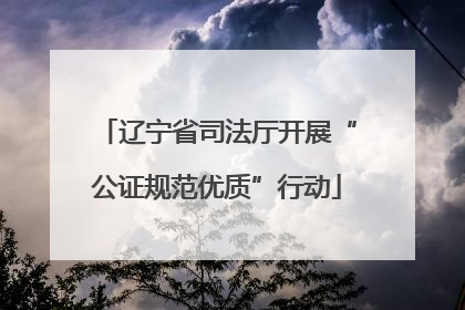 辽宁省司法厅开展“公证规范优质”行动