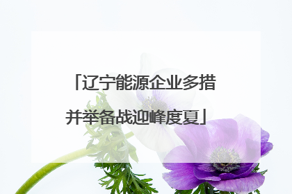 辽宁能源企业多措并举备战迎峰度夏