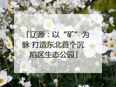 辽源：以“矿”为脉 打造东北首个沉陷区生态公园