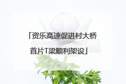 资乐高速促进村大桥首片T梁顺利架设