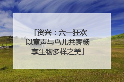 资兴：六一狂欢 以童声与鸟儿共舞畅享生物多样之美