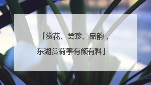 赏花、尝珍、品韵，东湖赏荷季有颜有料