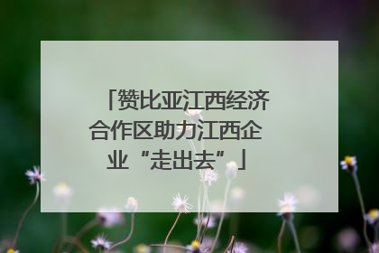 赞比亚江西经济合作区助力江西企业“走出去”