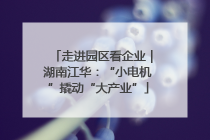 走进园区看企业｜湖南江华：“小电机”撬动“大产业”