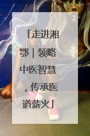 走进湘鄂｜领略中医智慧，传承医道薪火