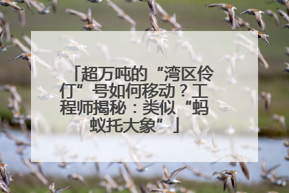 超万吨的“湾区伶仃”号如何移动？工程师揭秘：类似“蚂蚁托大象”