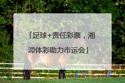 足球+责任彩票，湘潭体彩助力市运会